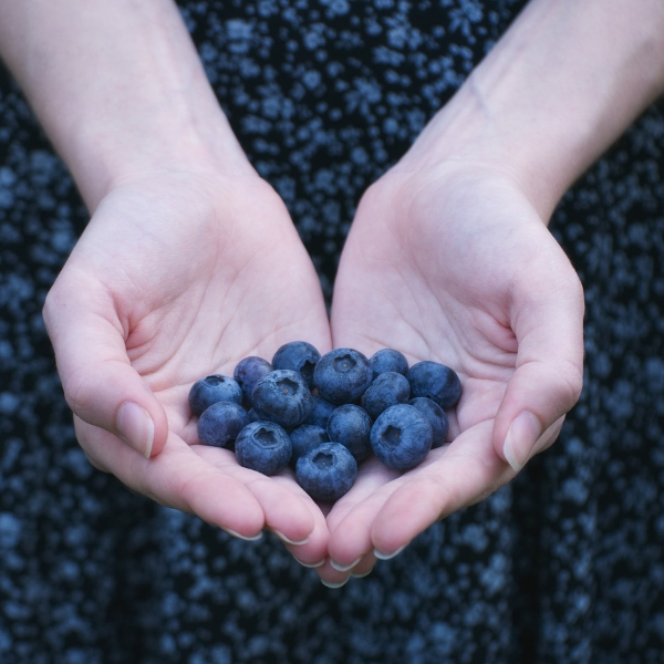 Brain Health Blueberries
